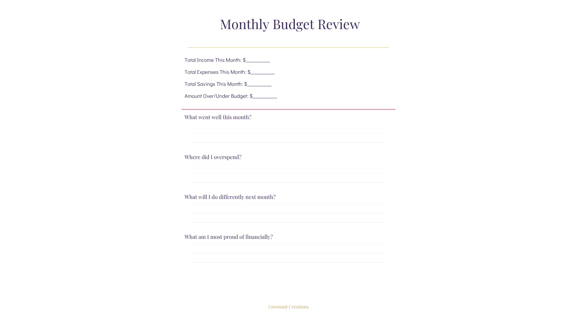 Monthly Budget Review Sheet - Single Page Reflection Page Insert (PDF Digital Download)
